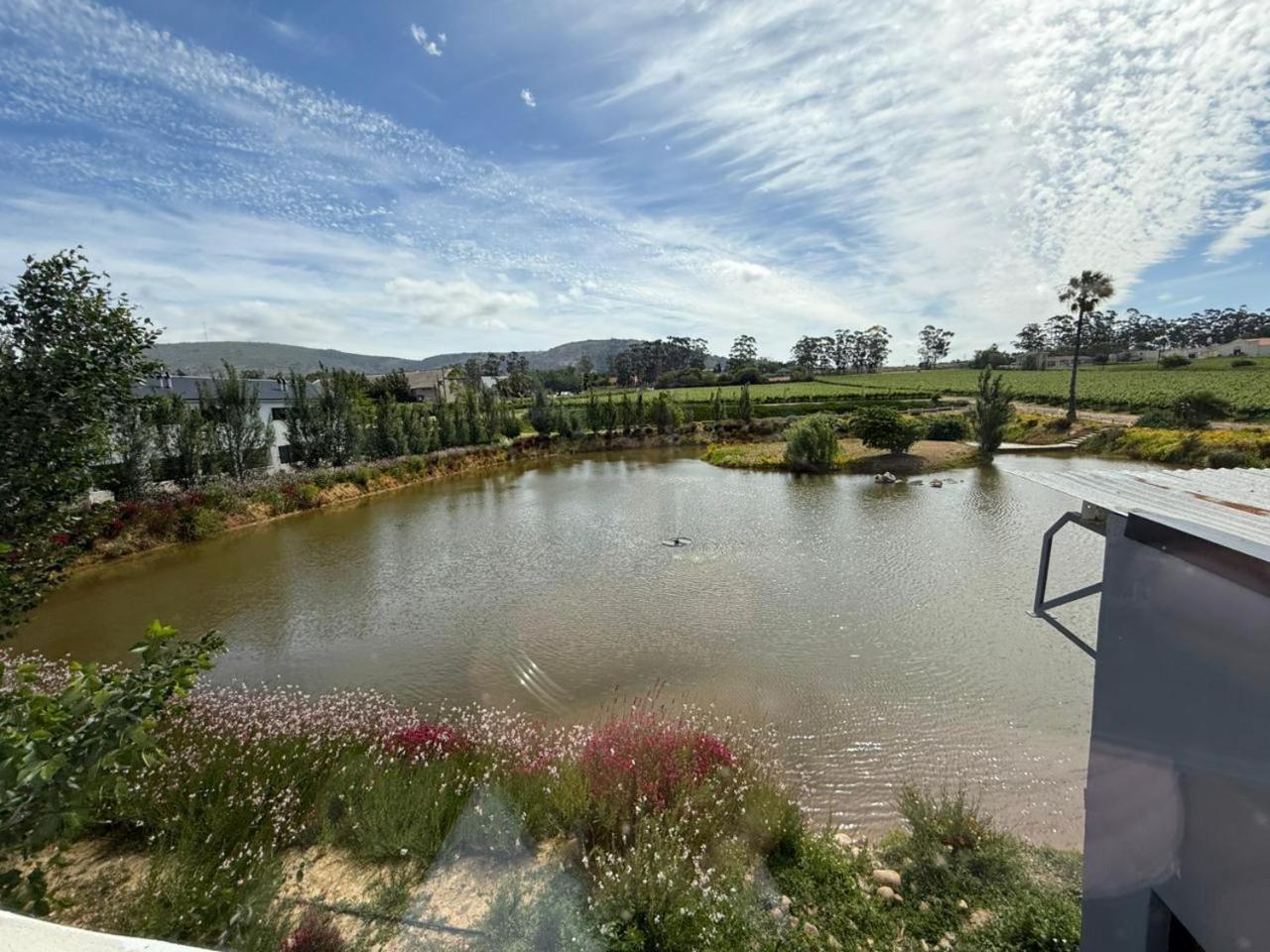 Middelplaas Paarl Guesthouse Экстерьер фото