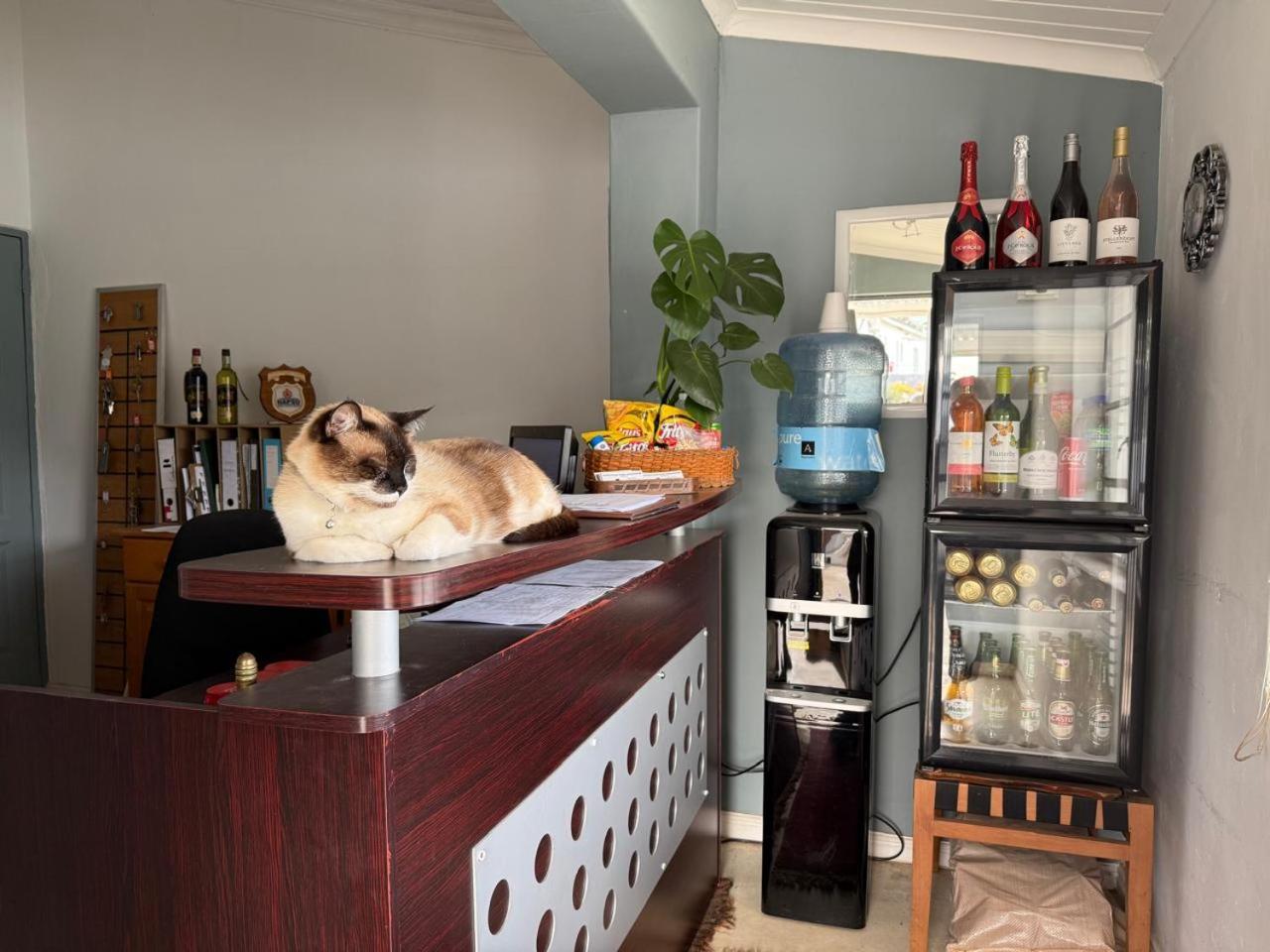 Middelplaas Paarl Guesthouse Экстерьер фото